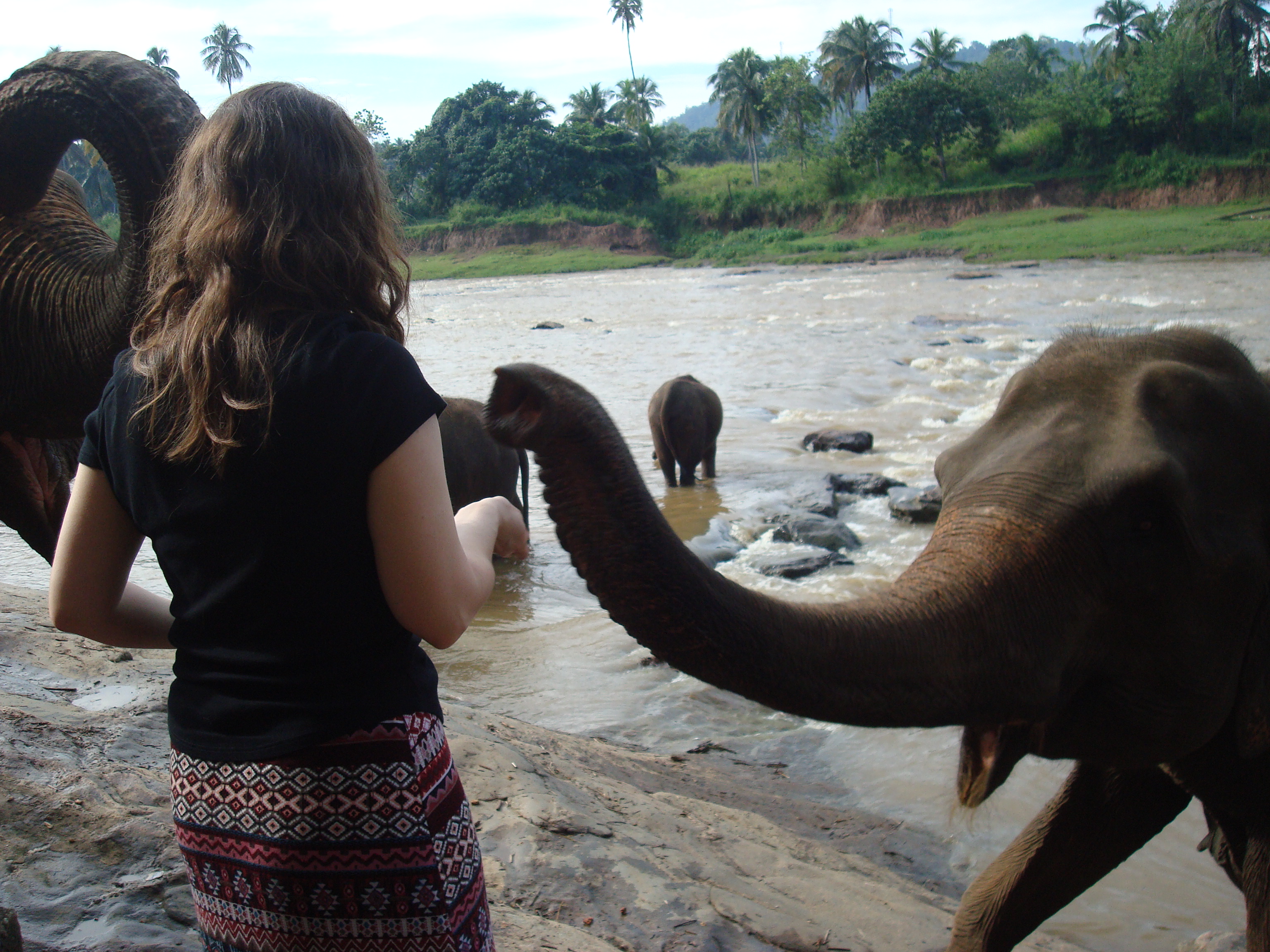author Tamara feeding an elephant