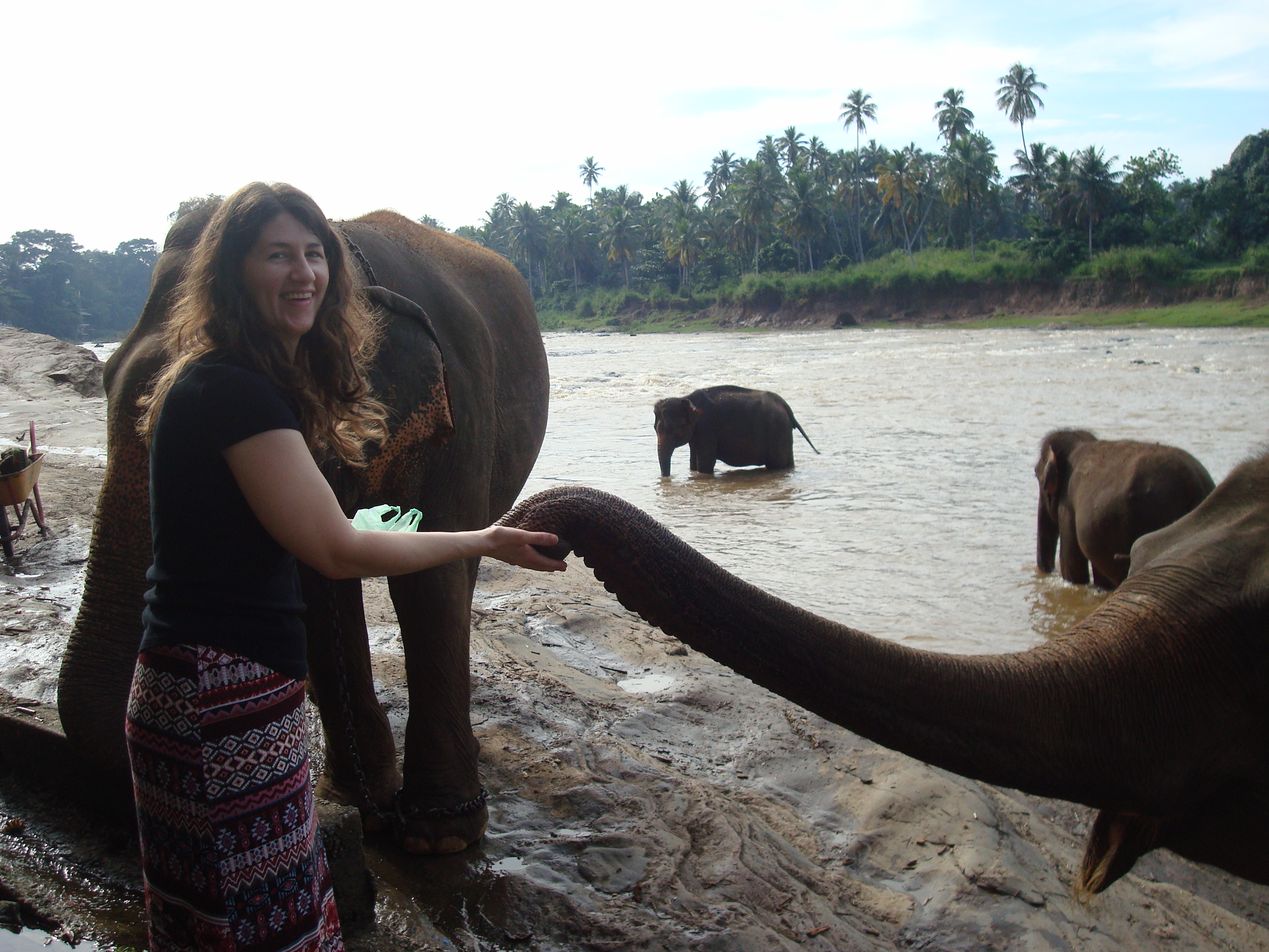 author Tamara feeding an elephant