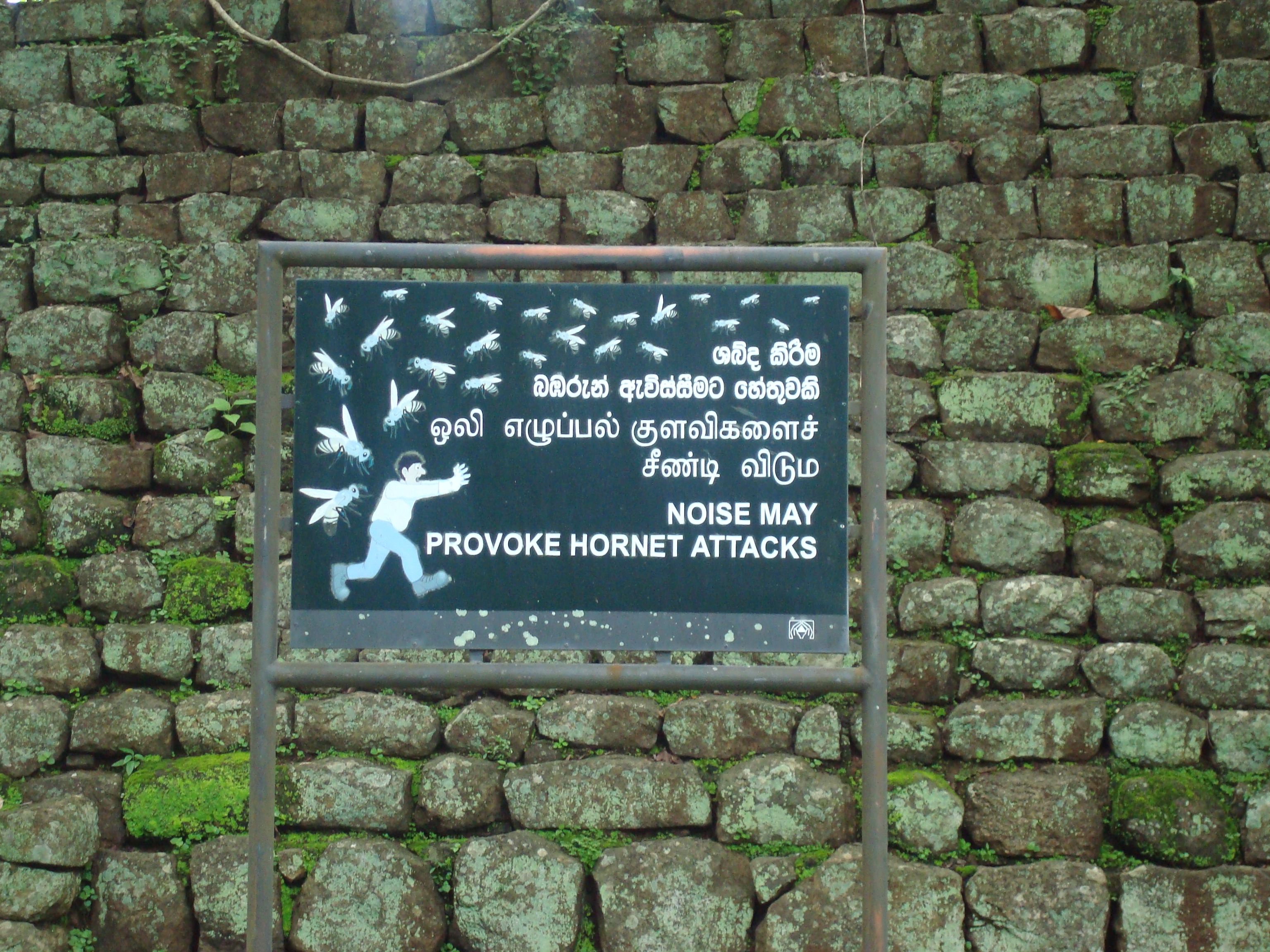 Sign at Sigiriya, Sri Lanka that says hornets may attack