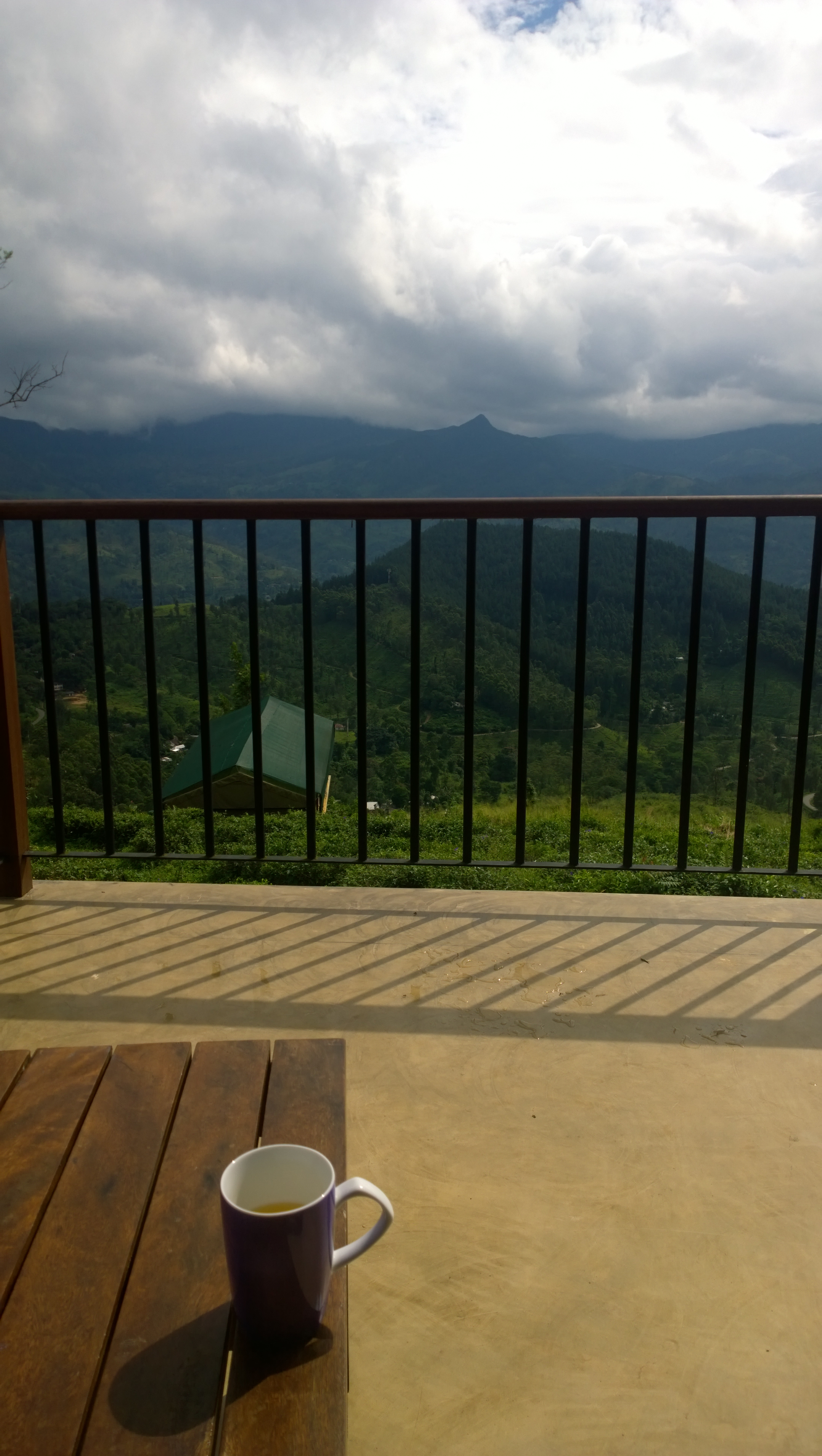 Fresh Ceylon tea and a beautiful view from my balcony, enjoying the simple life