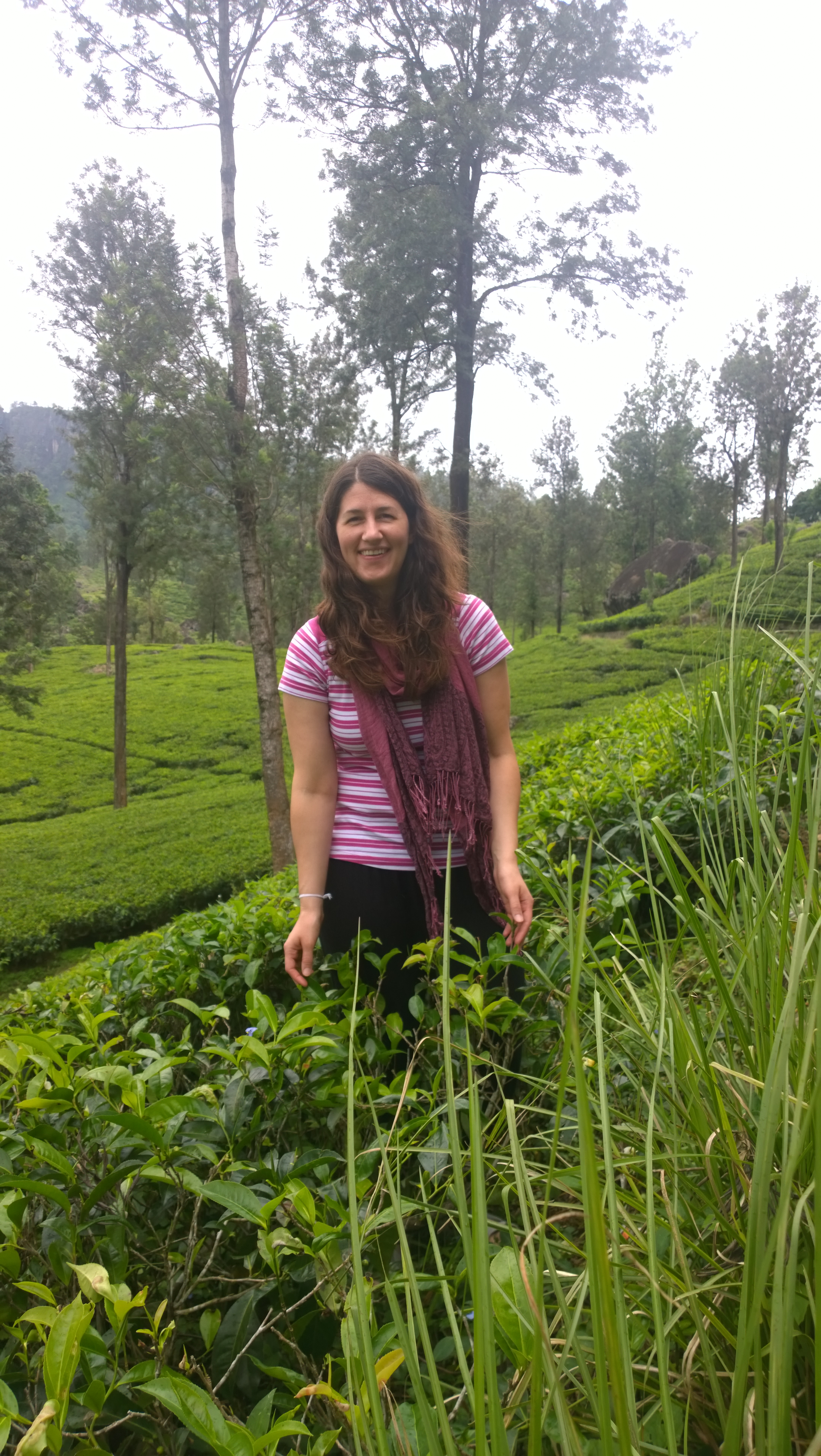 Me out with the tea plants while traveling in Sri Lanka