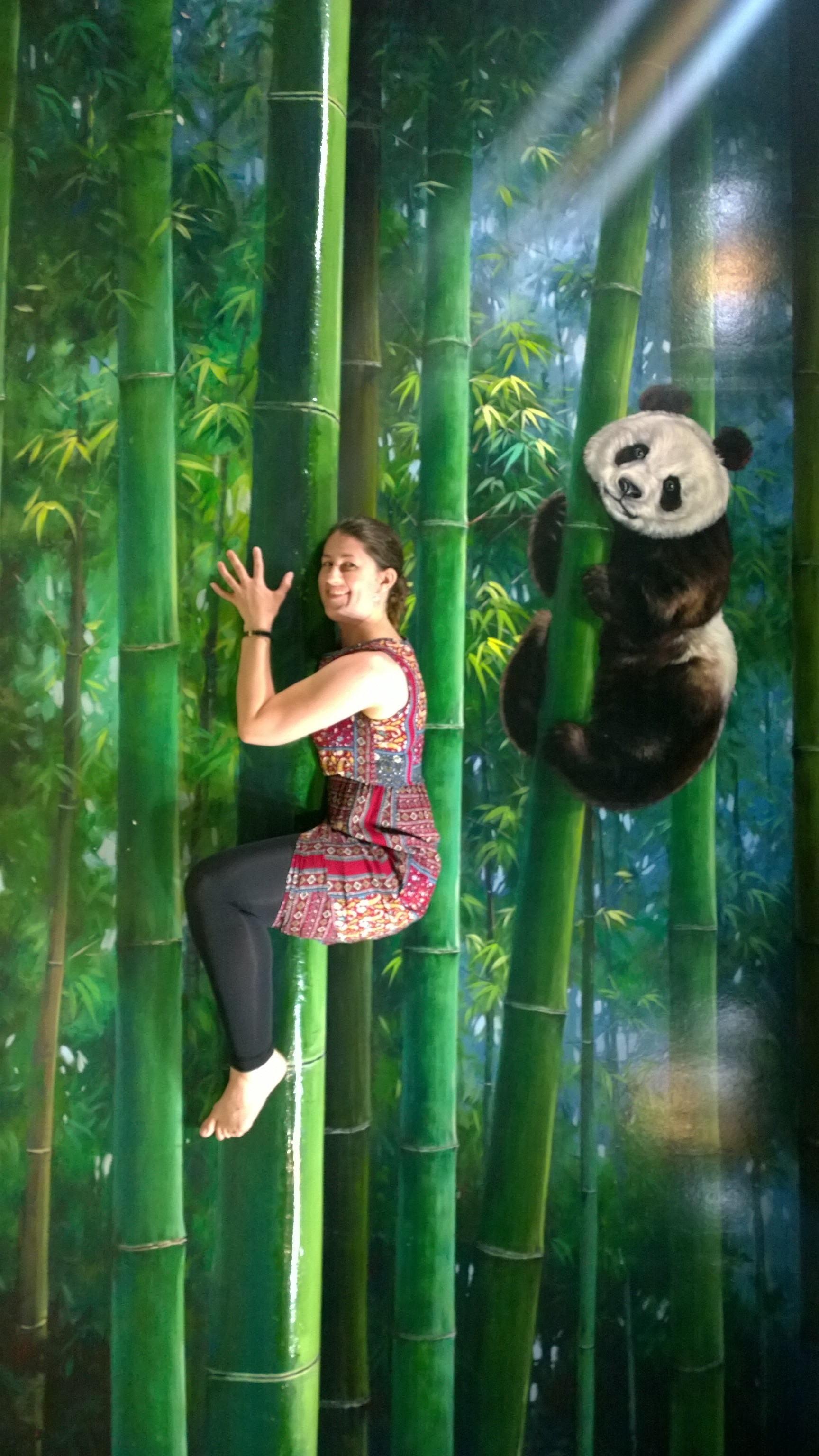 3D art museum Langkawi- pandas and bamboo